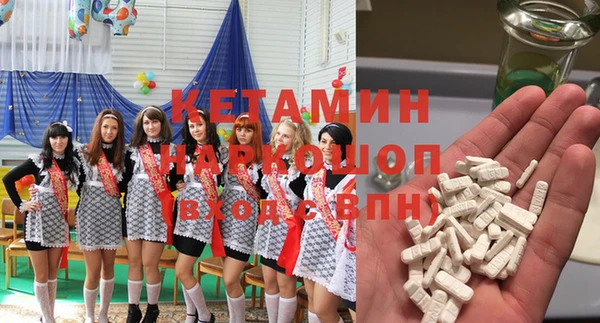 прущие грибы Богданович