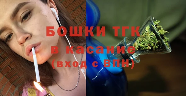 прущие грибы Богданович