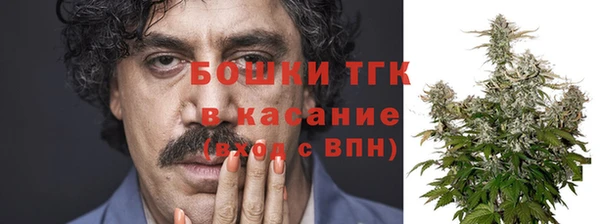 дживик Богородицк