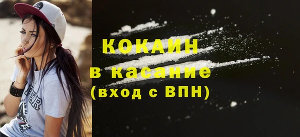 прущие грибы Богданович