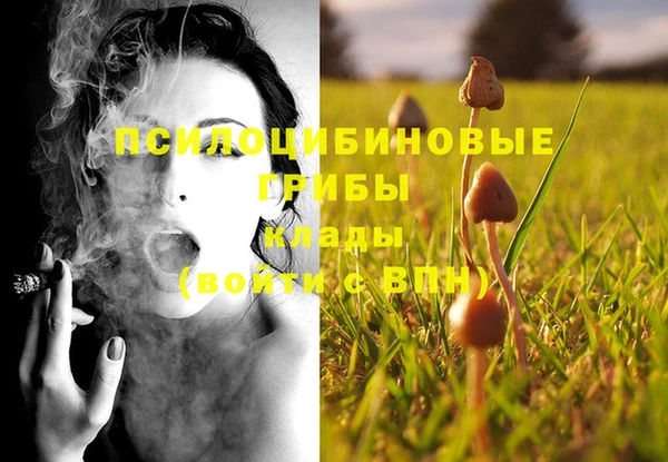 дживик Богородицк