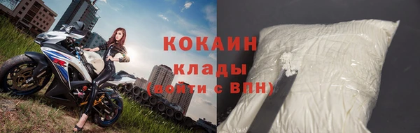 дживик Богородицк