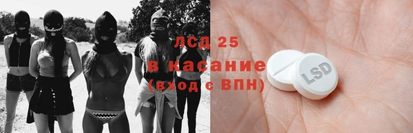 дживик Богородицк