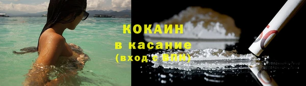 дживик Богородицк
