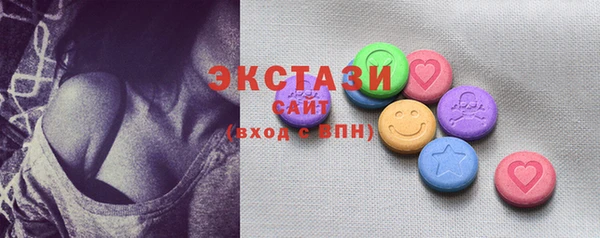дживик Богородицк