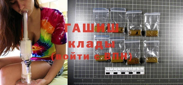 дживик Богородицк