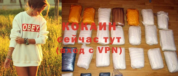прущие грибы Богданович