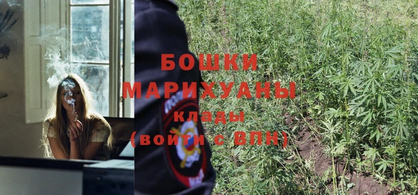 гидропоника Богородск