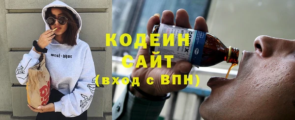прущие грибы Богданович