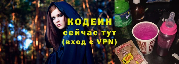 прущие грибы Богданович