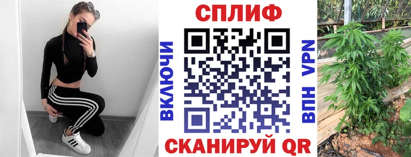 Марихуана планчик  купить наркотики цена  Новороссийск 